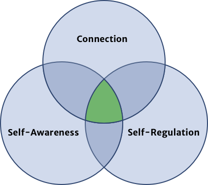 Venn Diagram of Connection, Self-Awareness and Self-Regulation