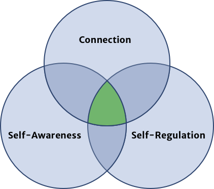 Connection - Self-awareness - Self-regulation