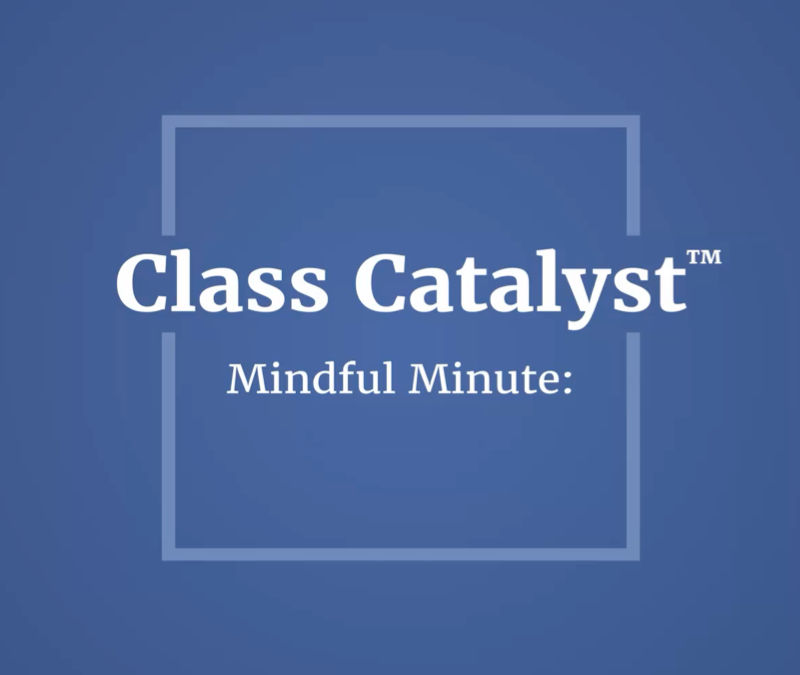 Mindful Minute for kids and adults