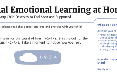 SEL at Home (an offline resource)