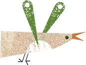 Green Winged Bird Illustration