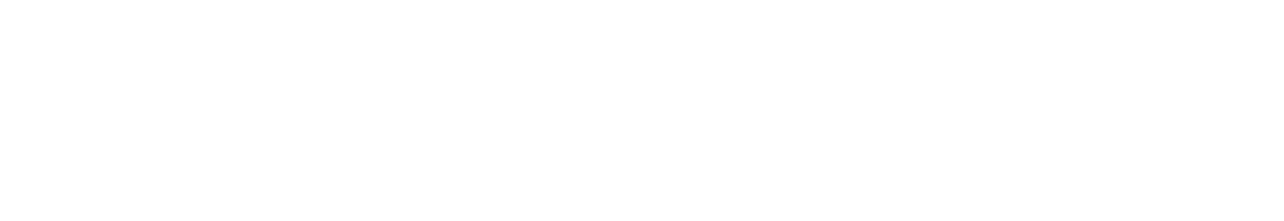 Chapin Hall at the University of Chicago Logo