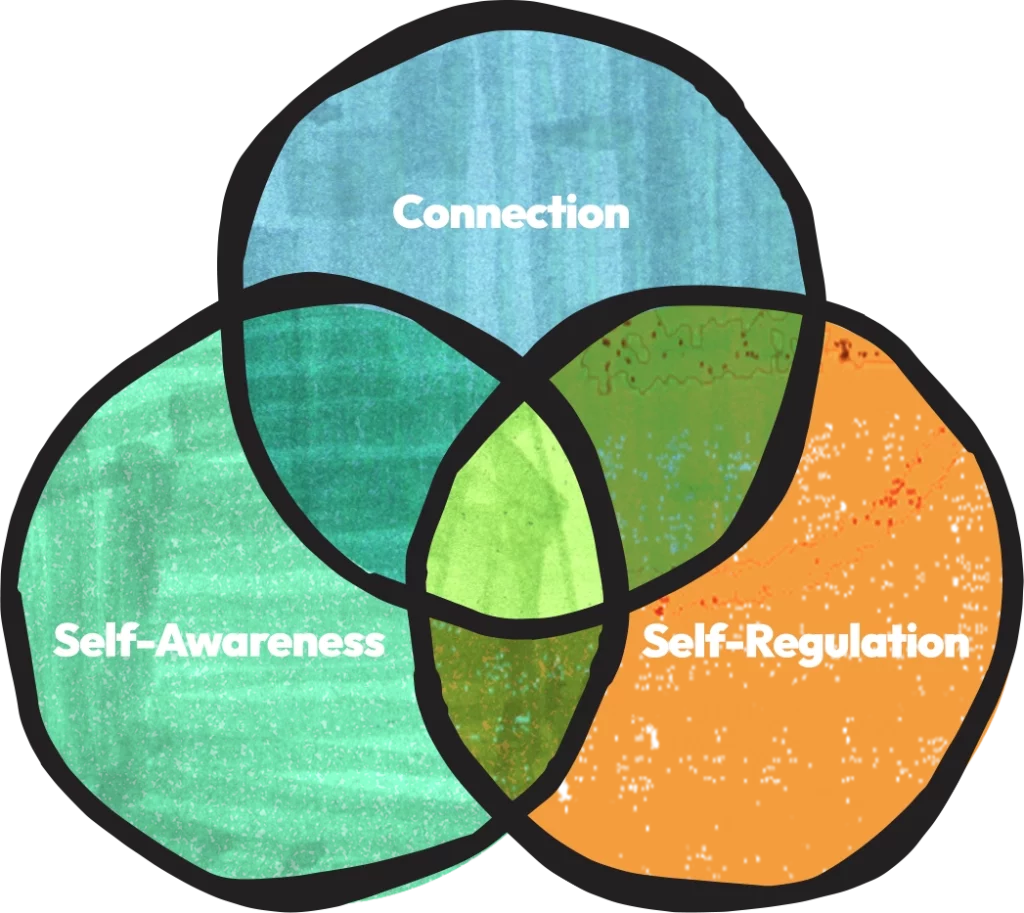 Connection, Self-Awareness, and Self-Regulation Venn Diagram
