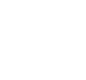 LinkedIn Logo