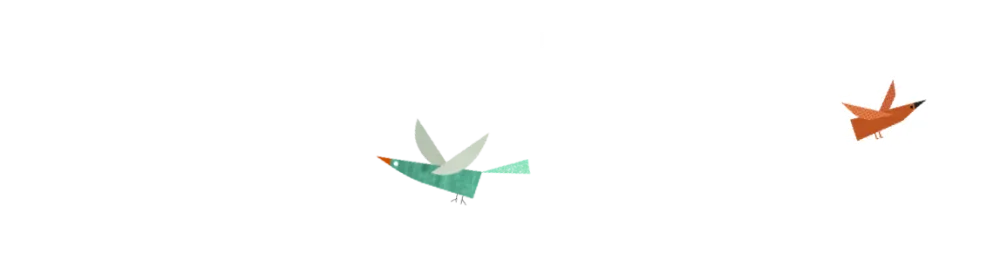Birds and Clouds Background Image