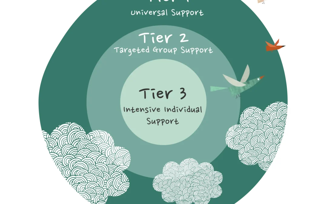 A Guide To Class Catalyst Data & MTSS Support